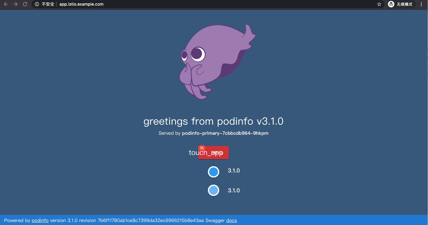 podinfo-view.png