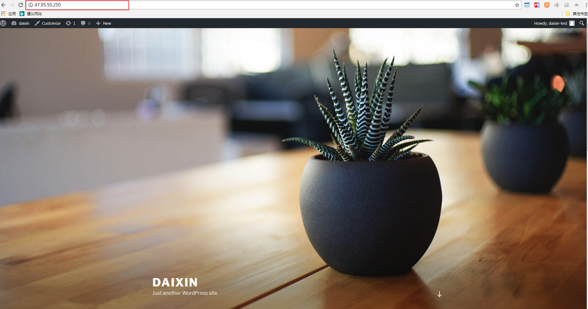 WordPress 应用案例首页