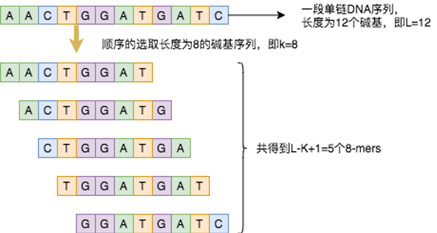 图5：8-mers核酸序列示意图.png